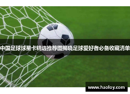 中国足球球星卡精选推荐图揭晓足球爱好者必备收藏清单