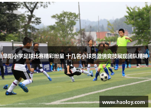 阜阳小学足球比赛精彩纷呈 十几名小球员激情竞技展现团队精神